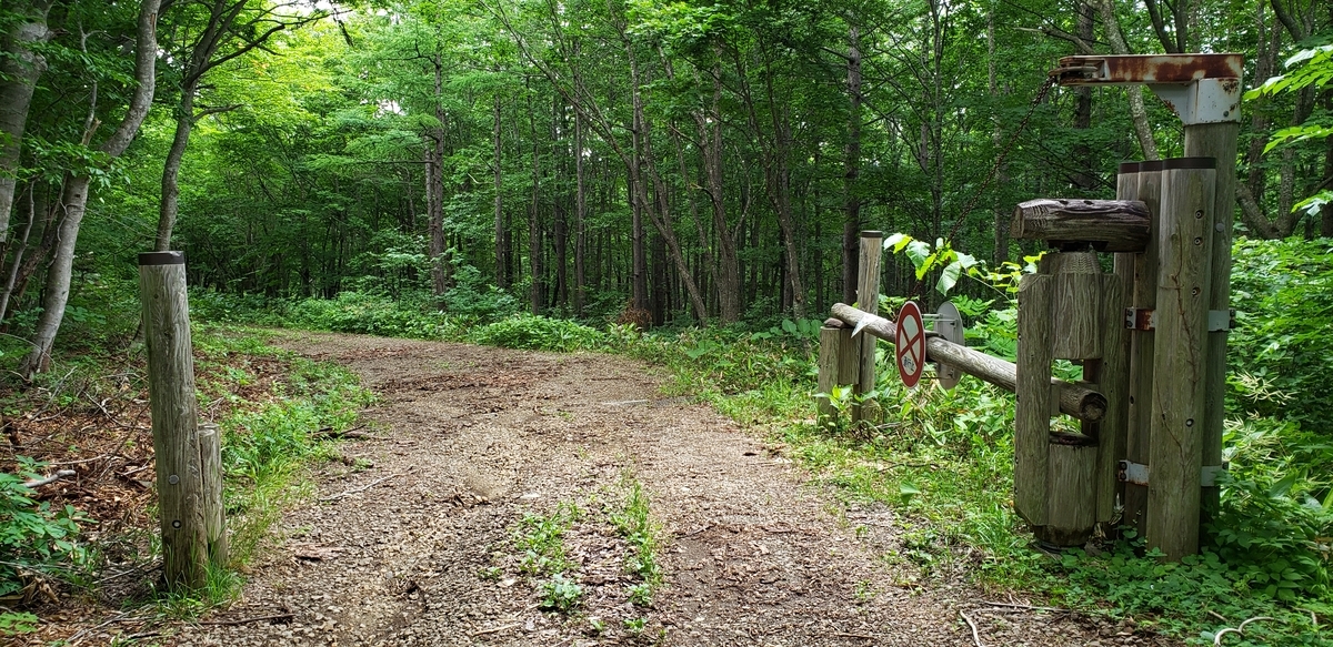 f:id:serow2012:20220312163204j:plain