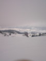 20100129133831