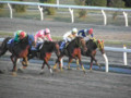 20101103162349