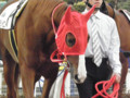 20101224154506