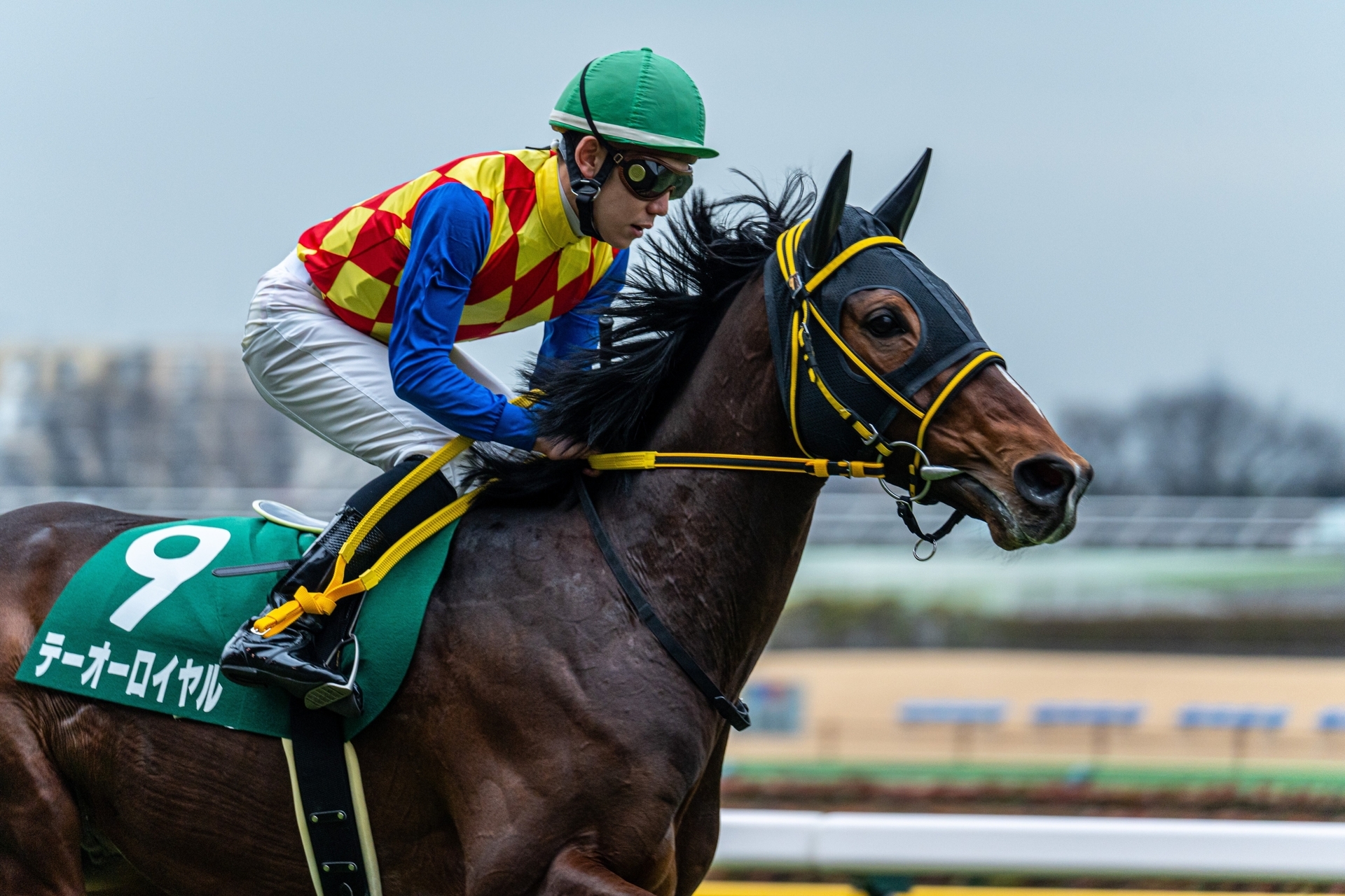 デジタルカメラで撮影しました過去の競馬の写真 黒つぶれ 動体対処法』 CANON EOS 7D ボディ のクチコミ掲示板 - 価格.com