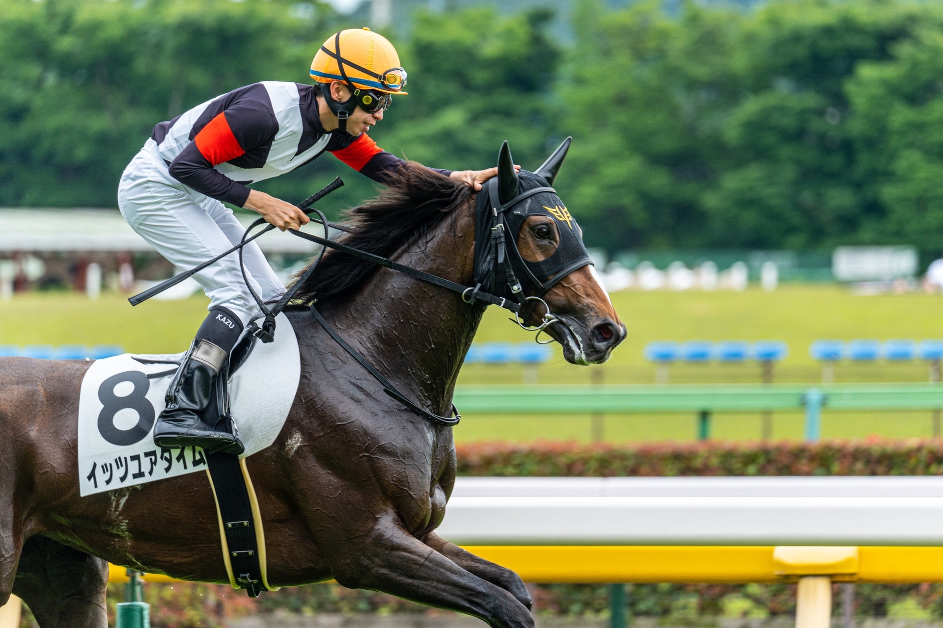 自分が撮った競馬写真で振り返る2022年の競馬 - ごまだれ