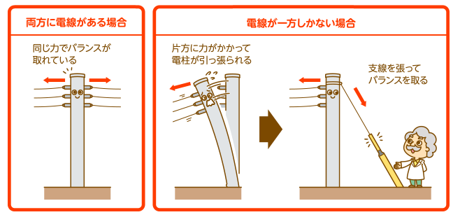そびえ立つ電柱 根比べの幕開け ねこぜ ねこじた ねこごてん With 泉北ホーム