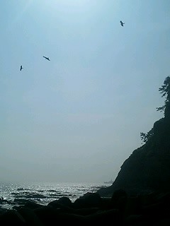 f:id:sesuna:20060818151143j:image