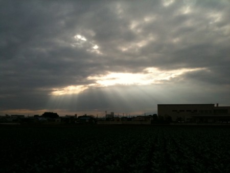 f:id:sesuna:20101003221652j:image:left