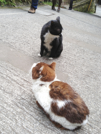 f:id:seta_tooru:20130523211342j:image