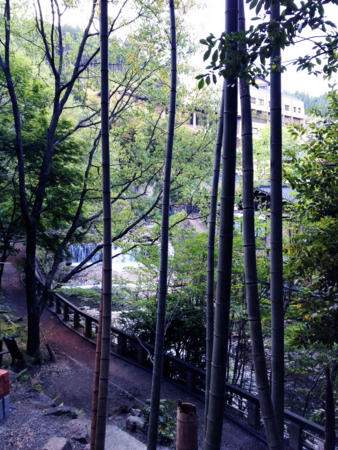 f:id:seta_tooru:20130523221843j:image