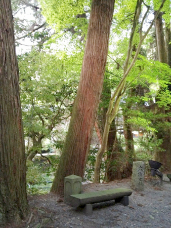 f:id:seta_tooru:20130523222727j:image