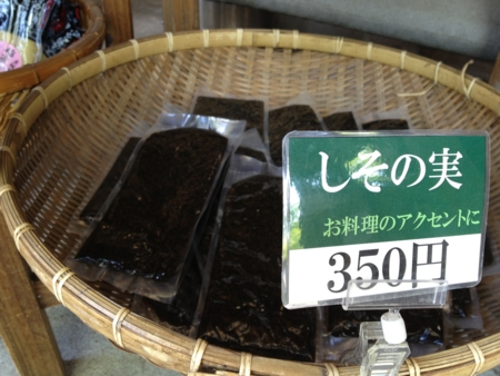 f:id:seta_tooru:20130528205405j:image