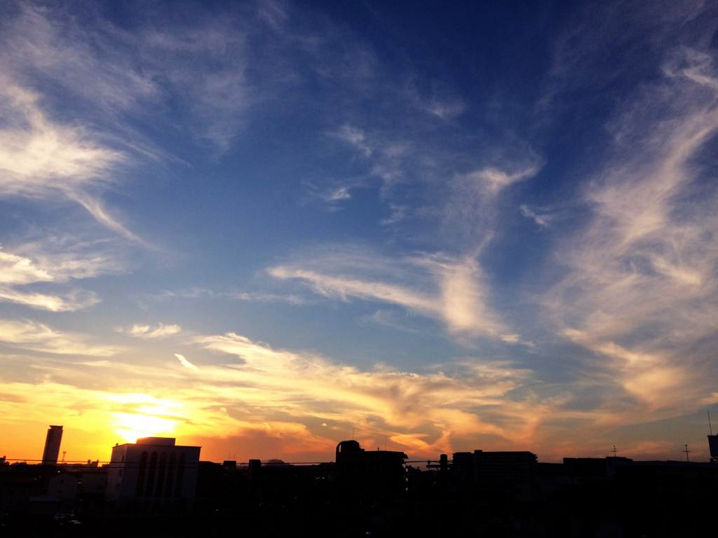 f:id:seta_tooru2:20161206202442j:plain