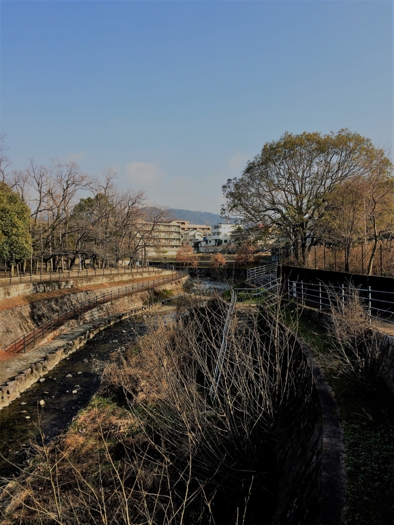 f:id:seta_tooru2:20180125193119j:plain