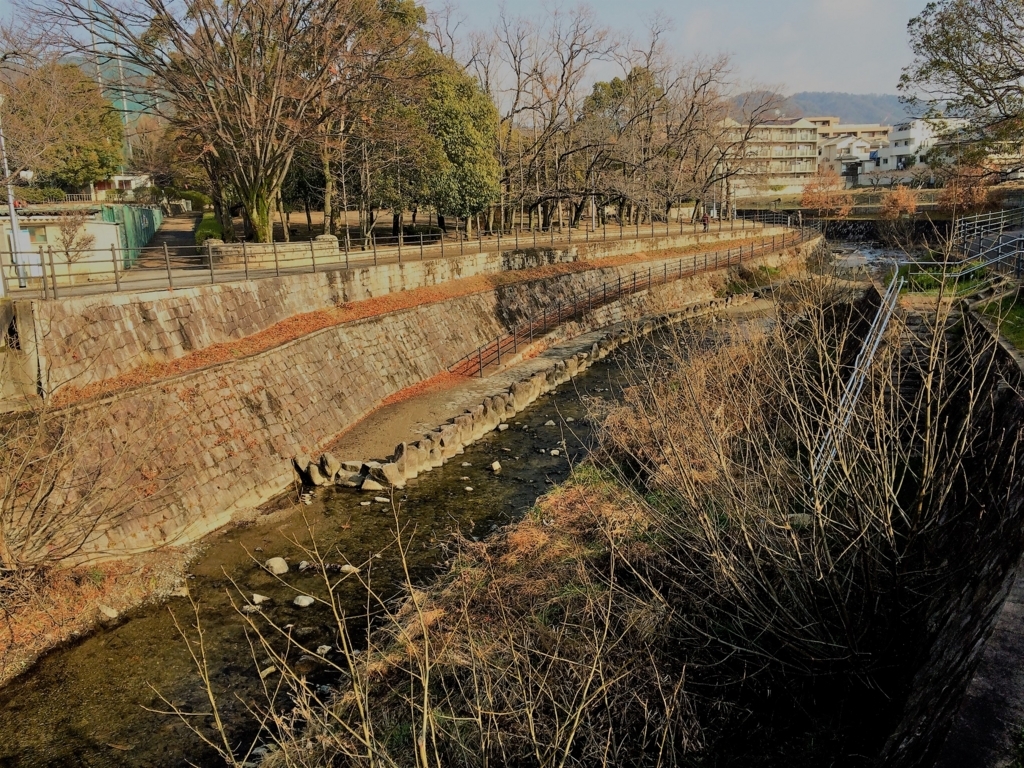 f:id:seta_tooru2:20180125193137j:plain