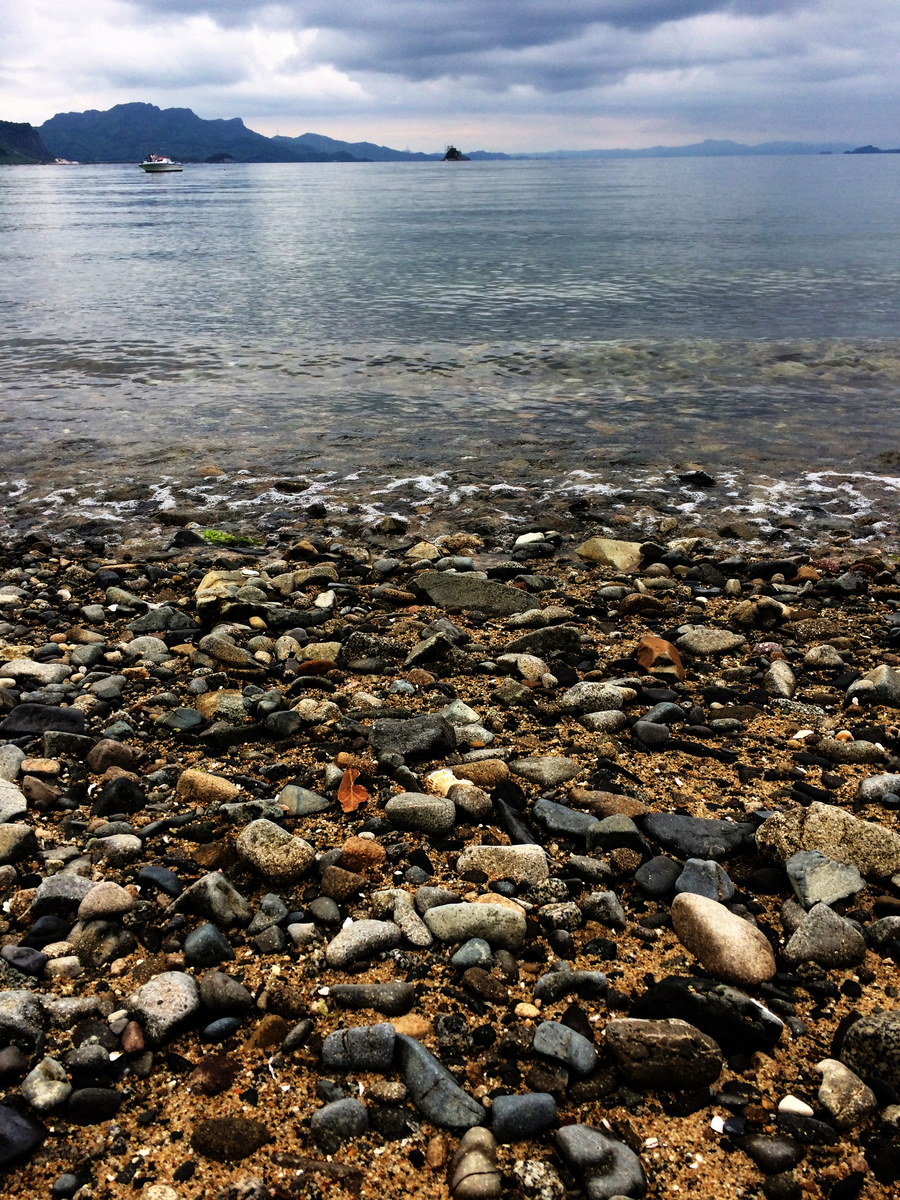 f:id:seta_tooru2:20190508203721j:plain