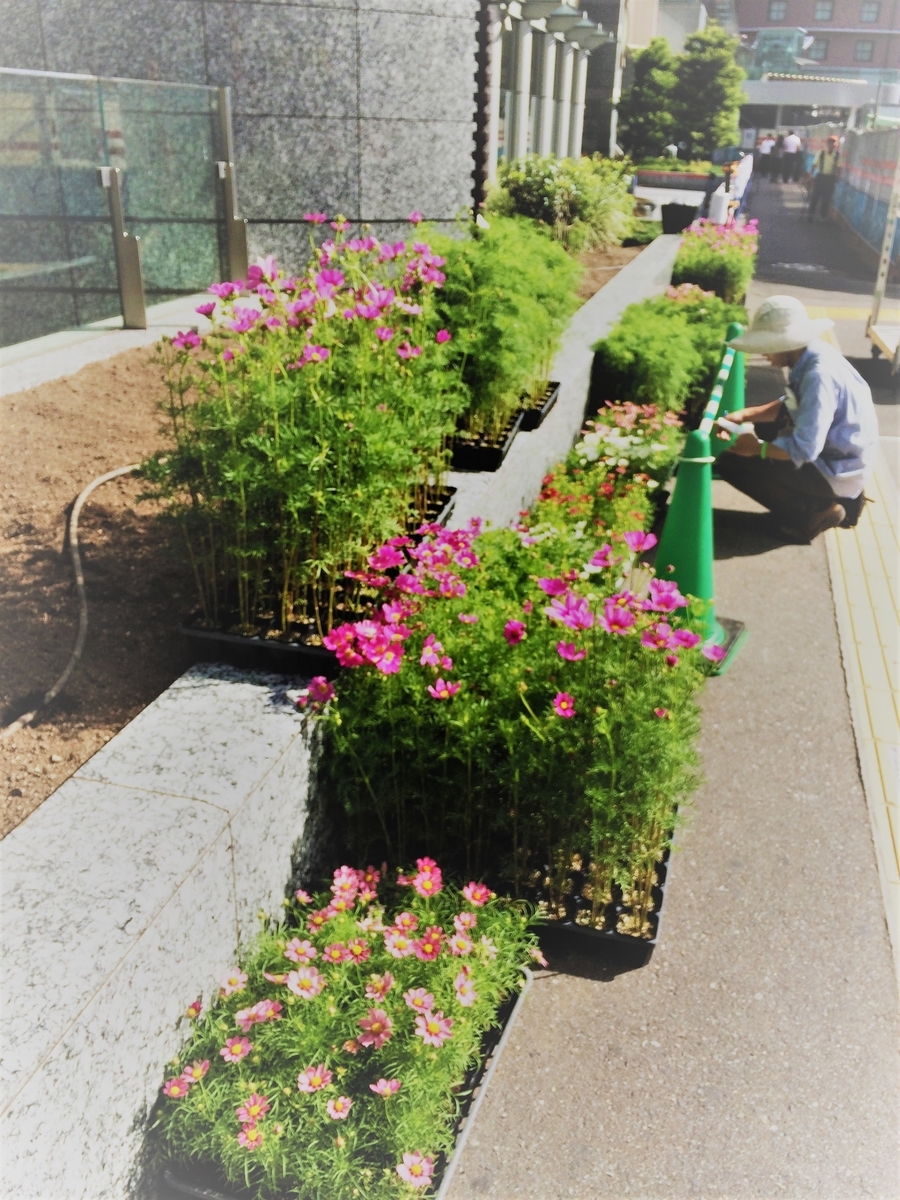 f:id:seta_tooru2:20190918224556j:plain f:id:seta_tooru2:20190918224556j:plain