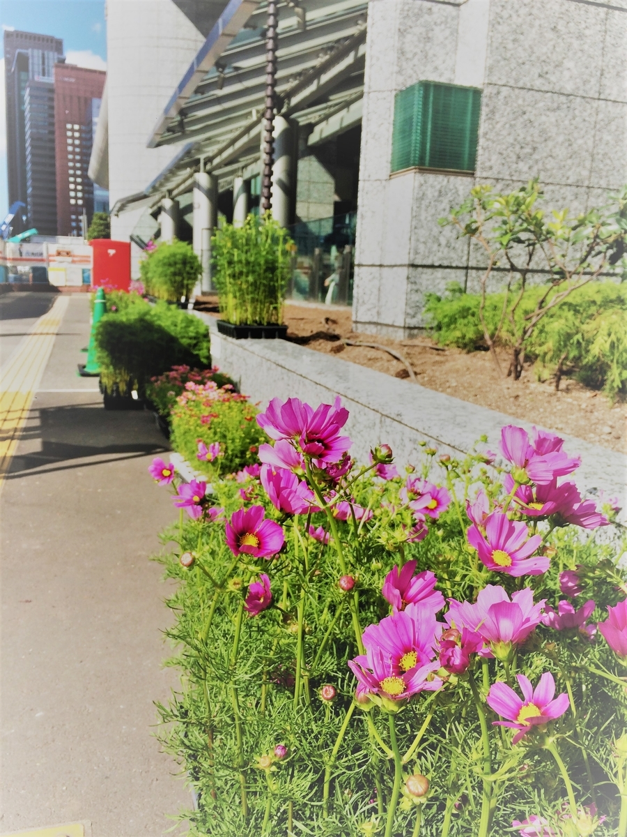 f:id:seta_tooru2:20190918224626j:plain f:id:seta_tooru2:20190918224626j:plain