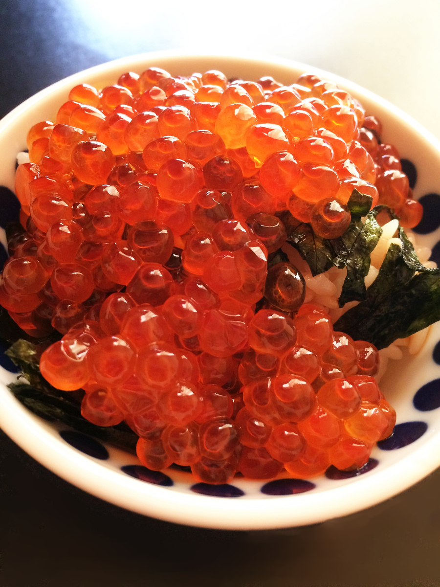 f:id:seta_tooru2:20191215113031j:plain