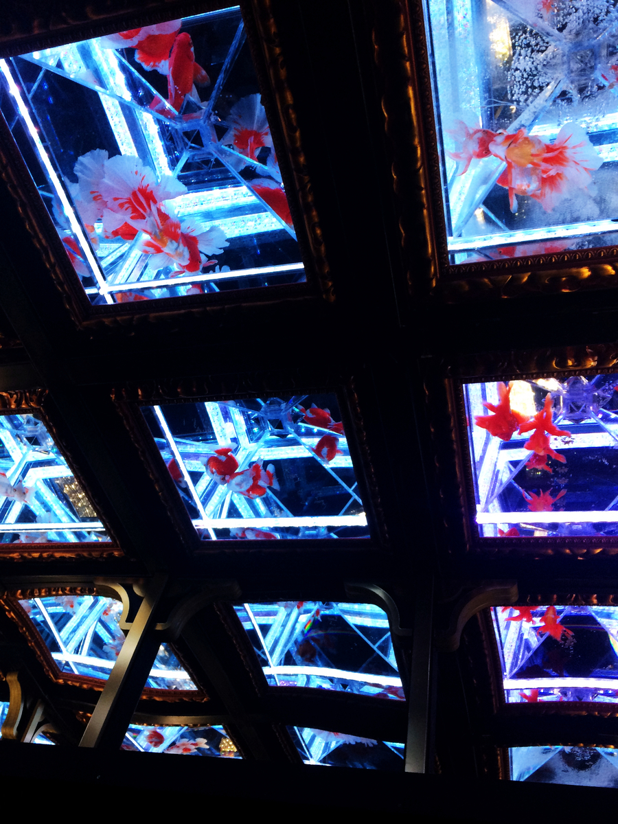 f:id:seta_tooru2:20200116204124j:plain f:id:seta_tooru2:20200116204124j:plain