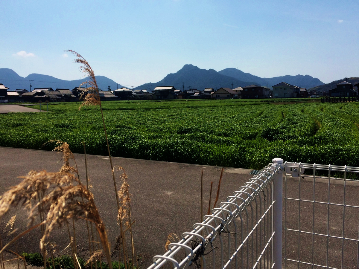 f:id:seta_tooru2:20200319224014j:plain f:id:seta_tooru2:20200319224014j:plain