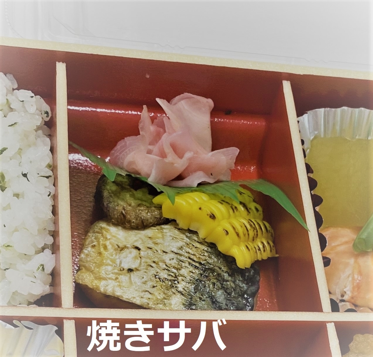 f:id:seta_tooru2:20200904205343j:plain