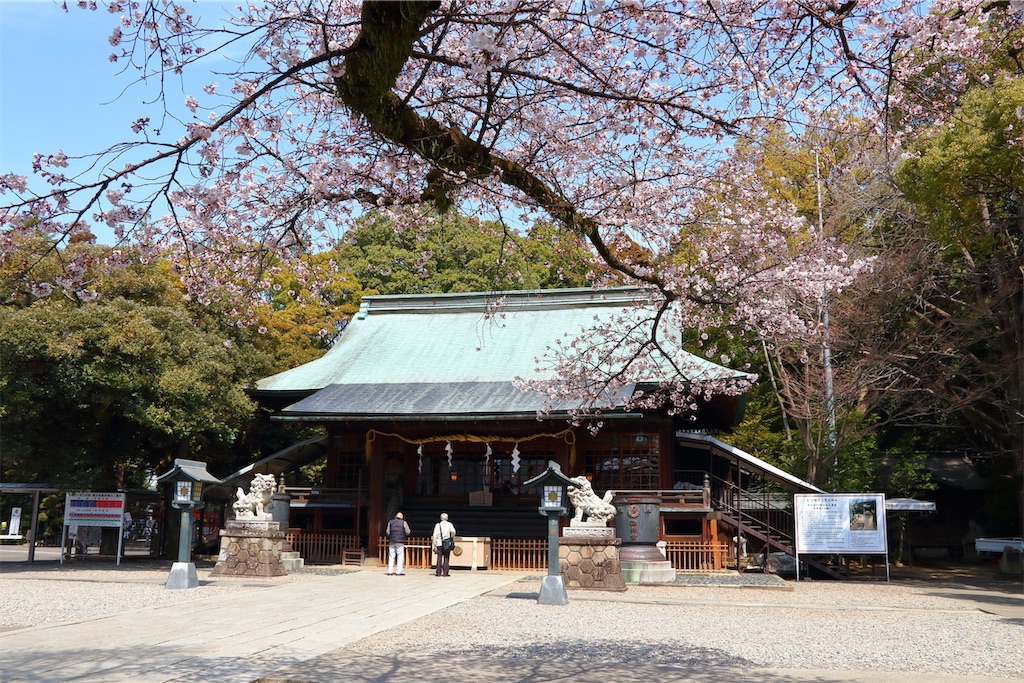 f:id:setagoto:20190424171521j:image f:id:setagoto:20190424171521j:image