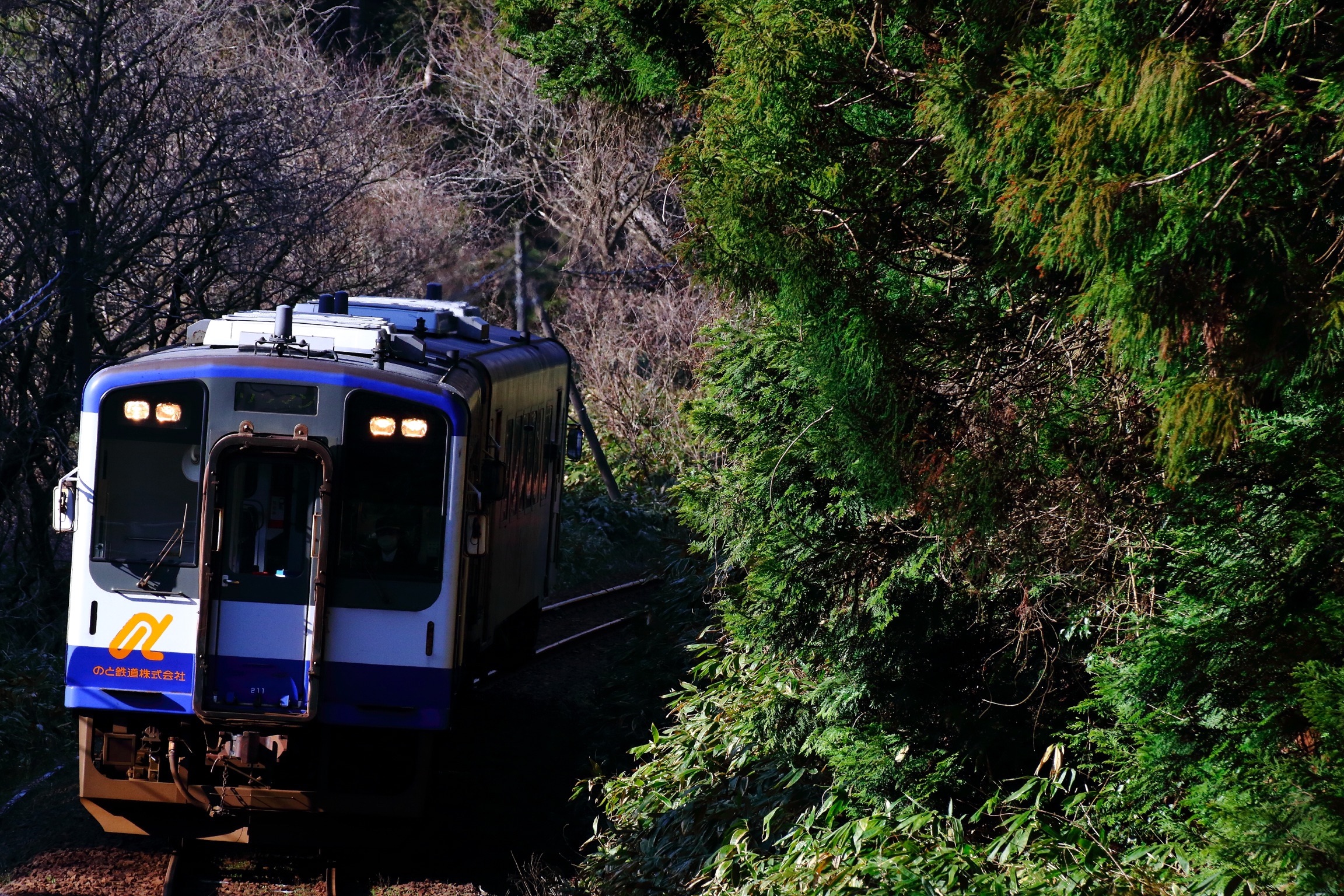 f:id:setagoto:20200711121643j:image f:id:setagoto:20200711121643j:image