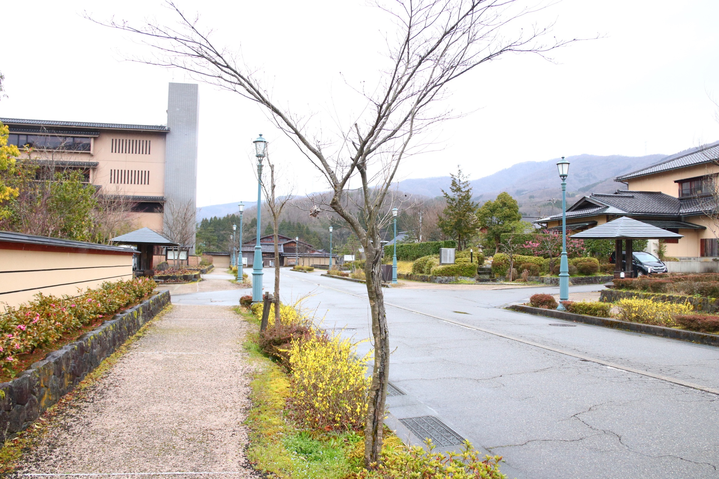 f:id:setagoto:20200729133237j:image