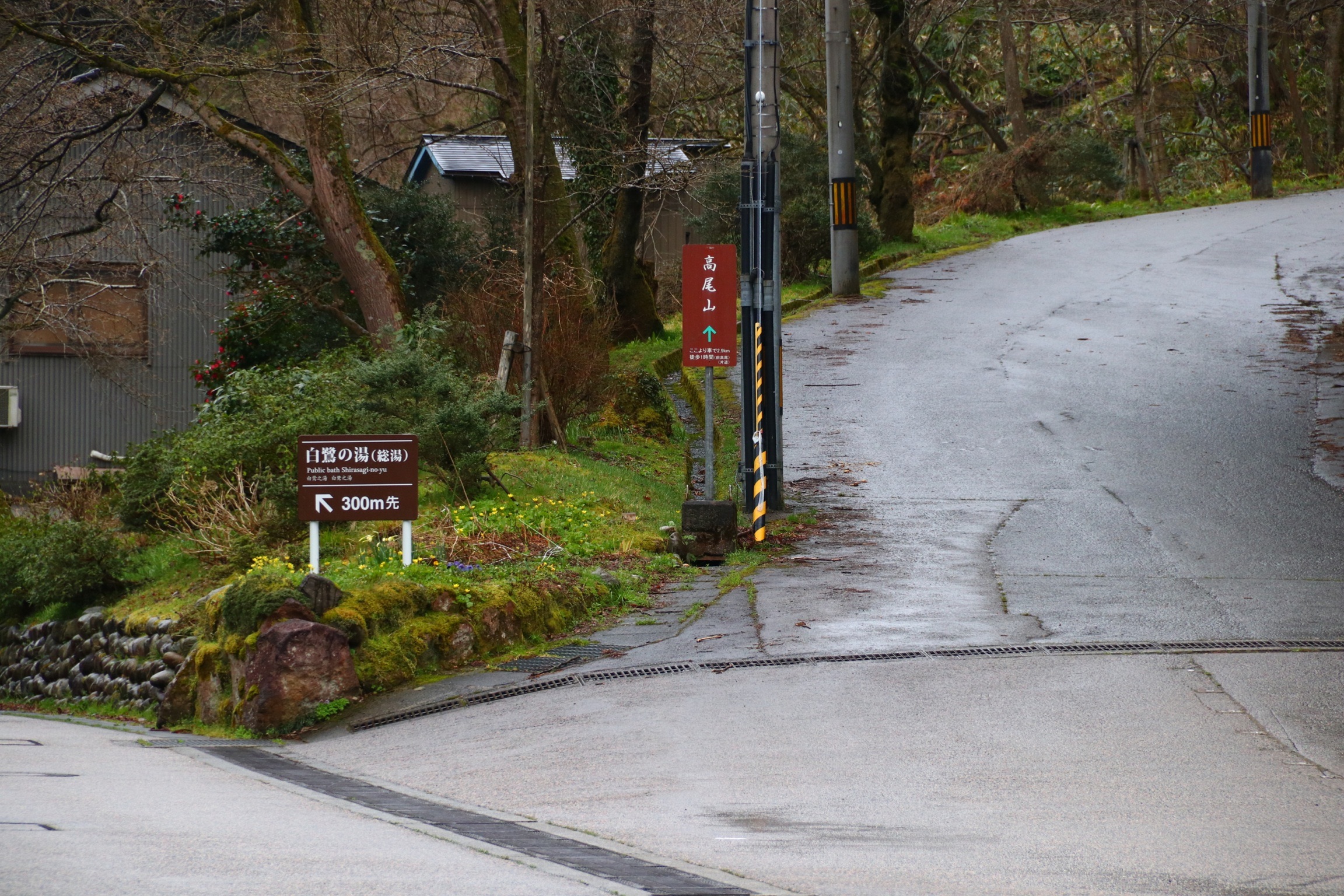 f:id:setagoto:20201017102529j:image