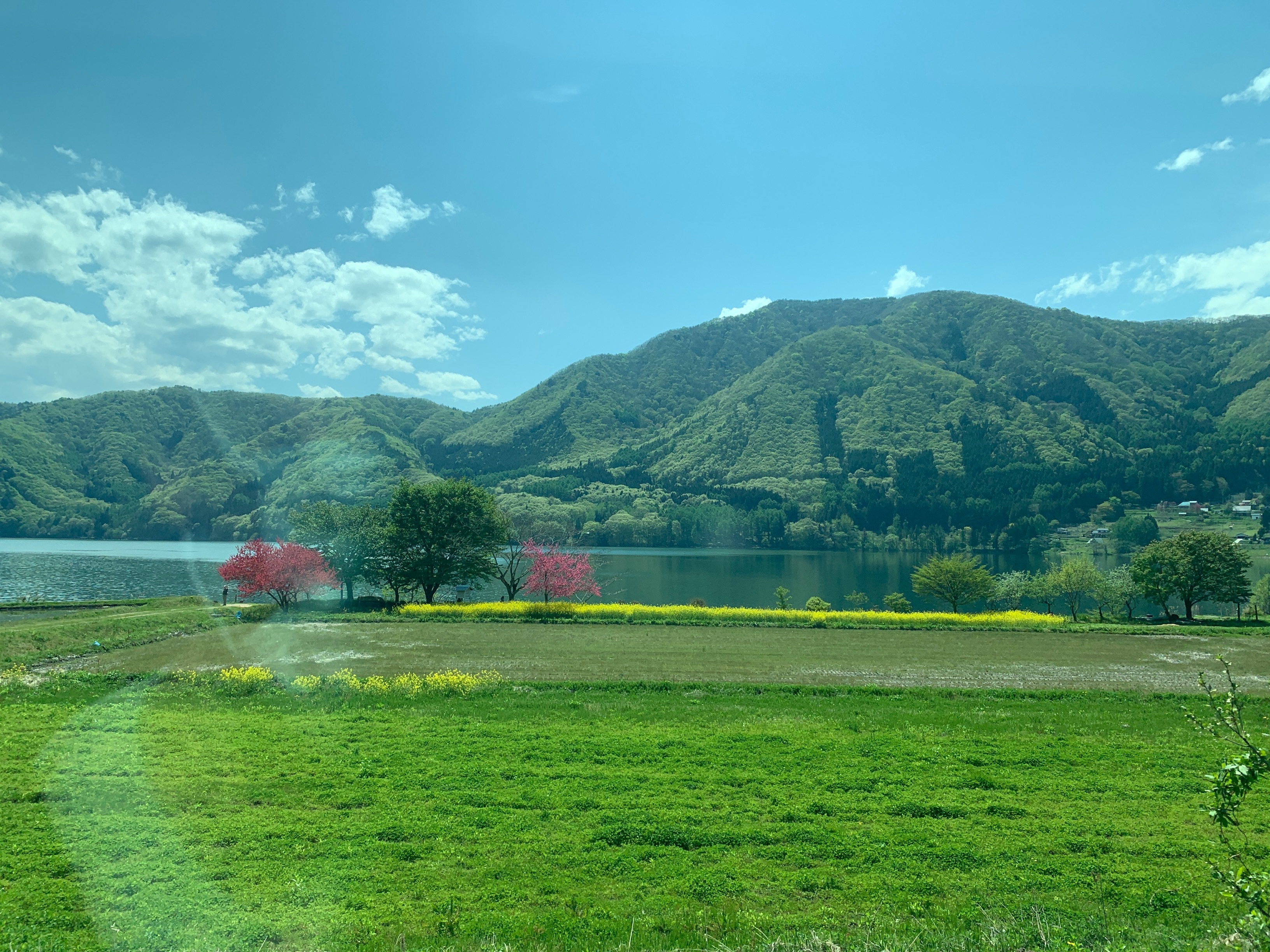 f:id:setagoto:20220509125927j:image