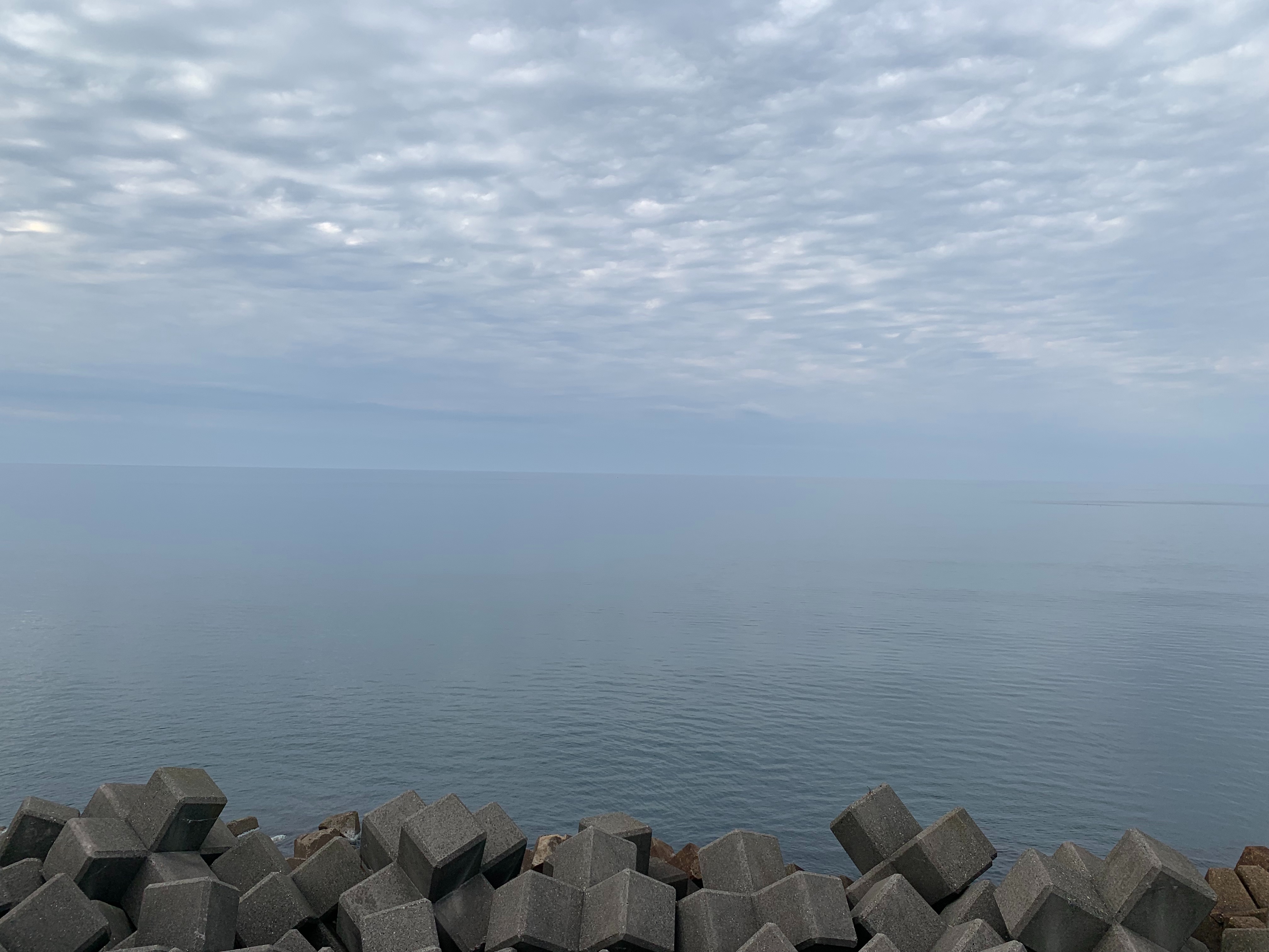 f:id:setagoto:20220510071342j:image