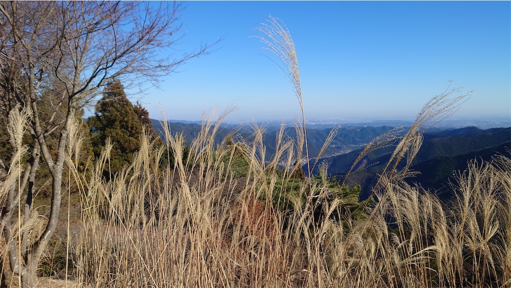 f:id:setagoto:20240101170643j:image f:id:setagoto:20240101170643j:image