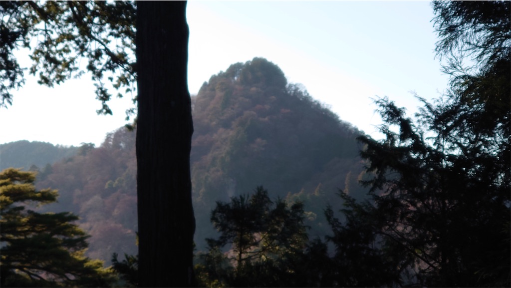 f:id:setagoto:20240101174125j:image f:id:setagoto:20240101174125j:image