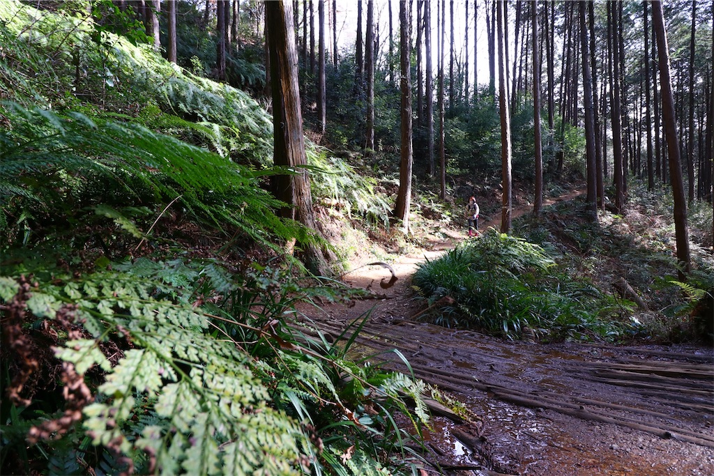 f:id:setagoto:20240113195900j:image f:id:setagoto:20240113195900j:image