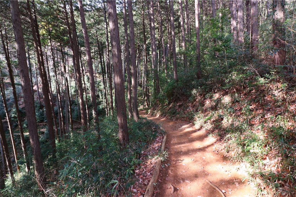 f:id:setagoto:20240113195906j:image f:id:setagoto:20240113195906j:image