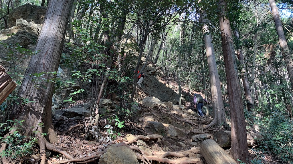 f:id:setagoto:20240113195913j:image f:id:setagoto:20240113195913j:image