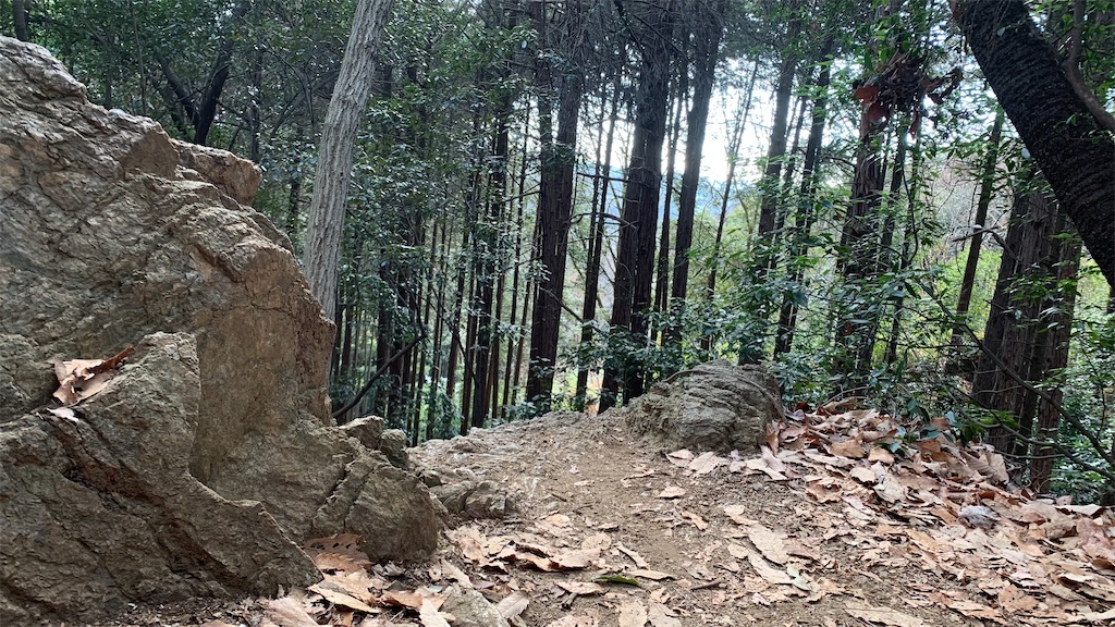 f:id:setagoto:20240113200848j:image f:id:setagoto:20240113200848j:image