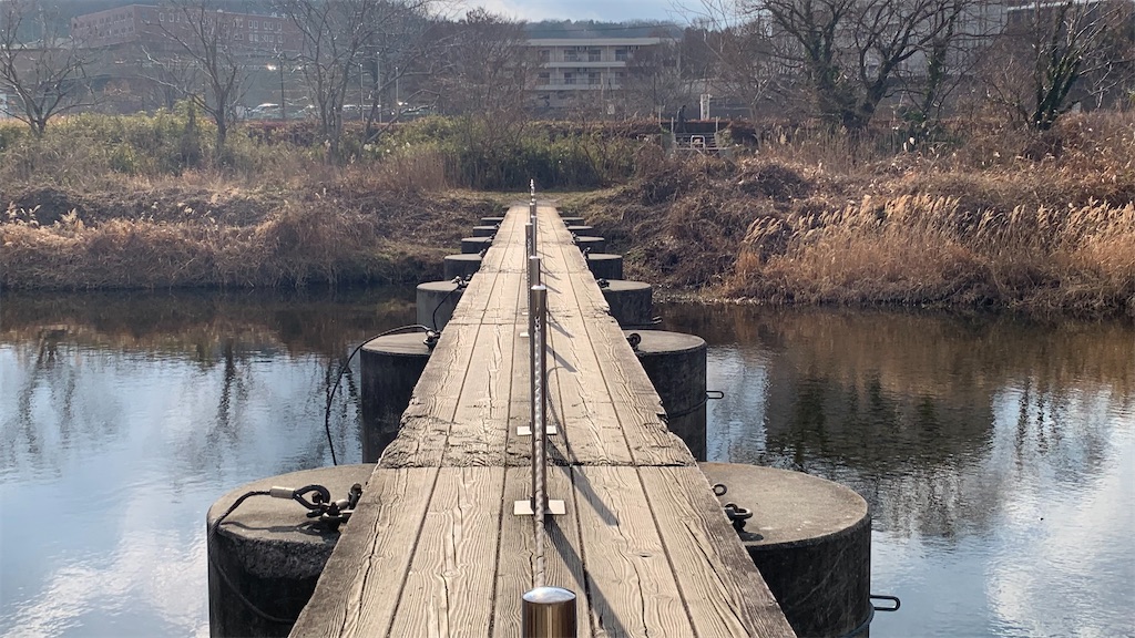 f:id:setagoto:20240113212645j:image