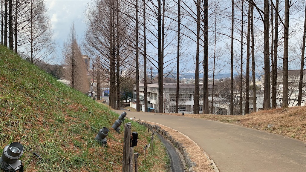 f:id:setagoto:20240113213119j:image