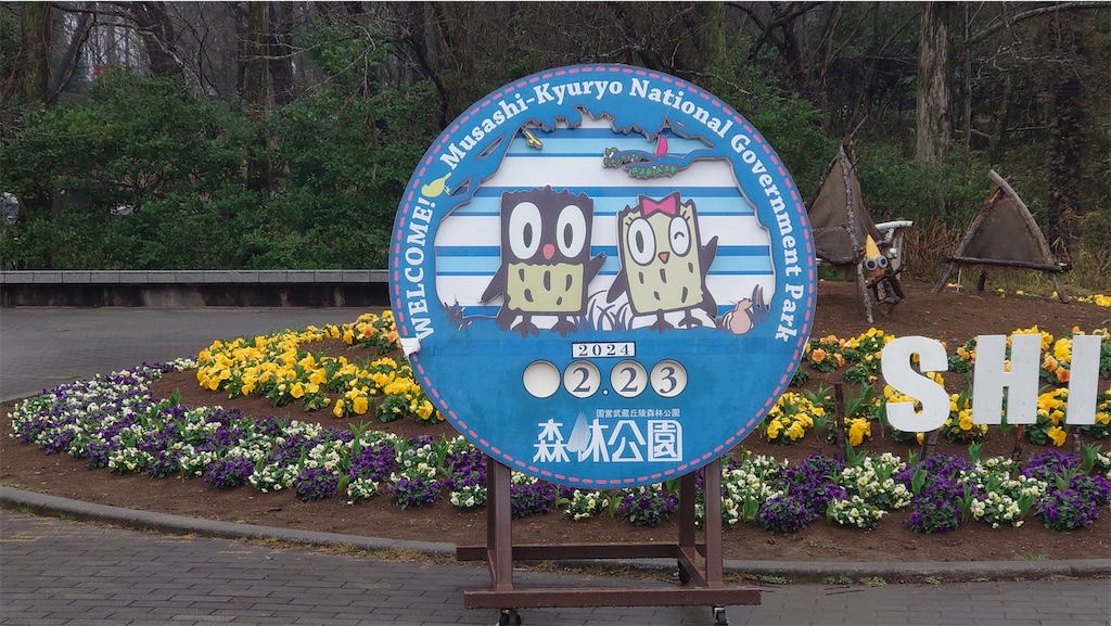 f:id:setagoto:20240226081740j:image