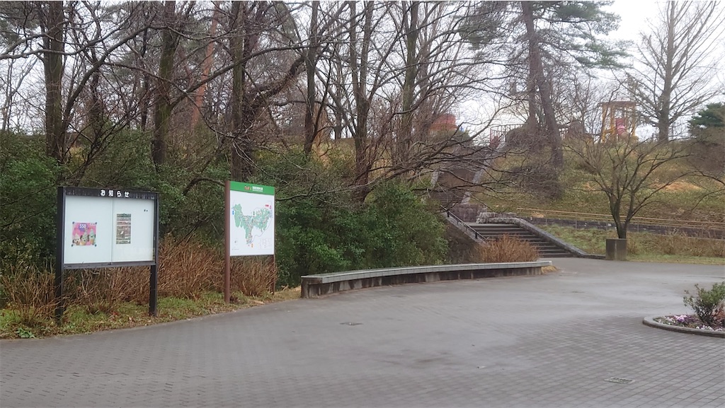 f:id:setagoto:20240226082253j:image