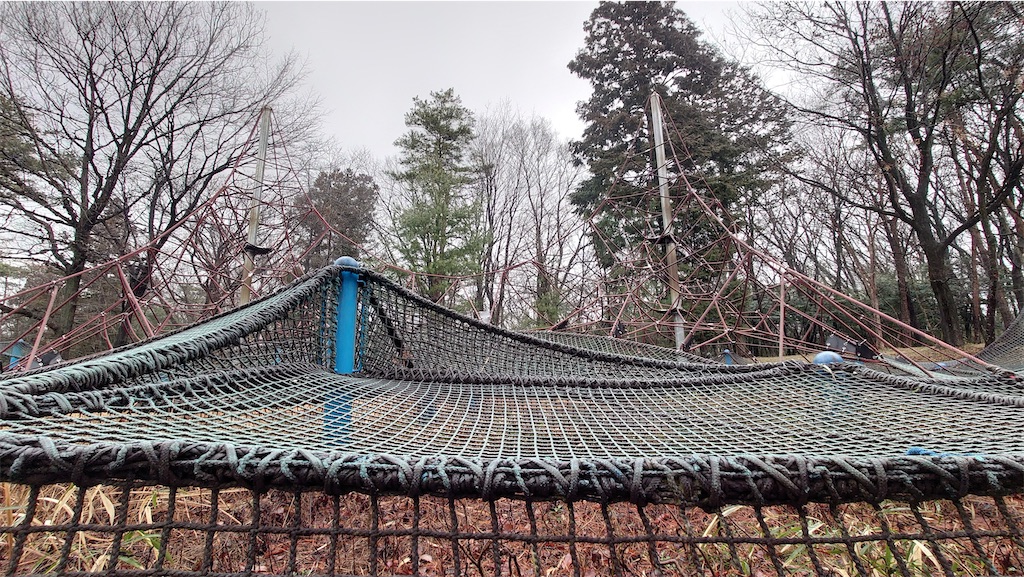 f:id:setagoto:20240226125643j:image