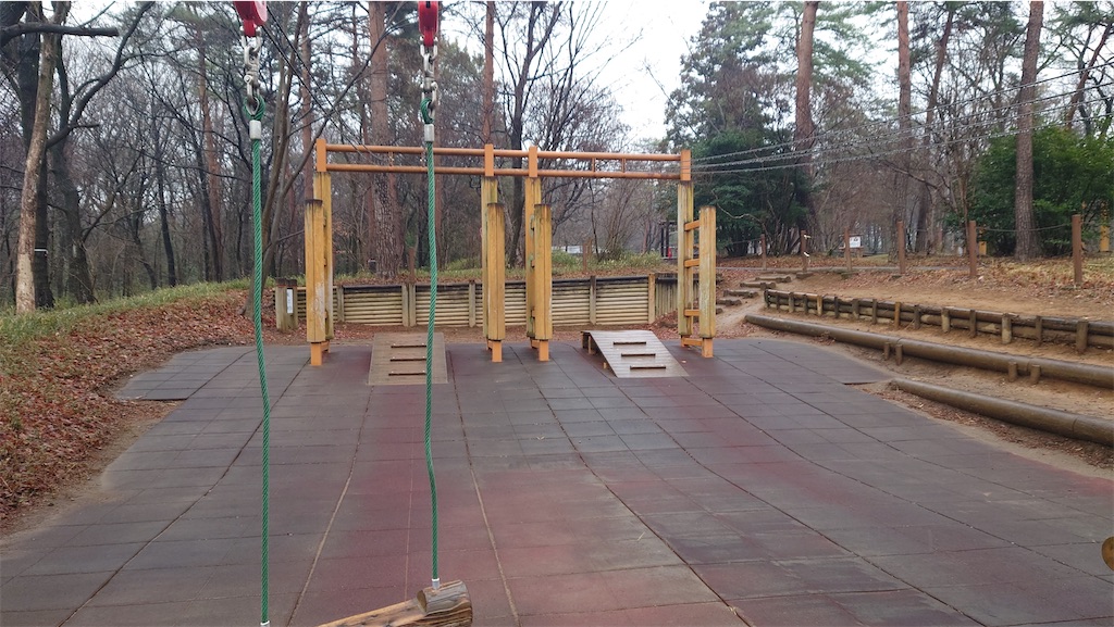 f:id:setagoto:20240228124543j:image