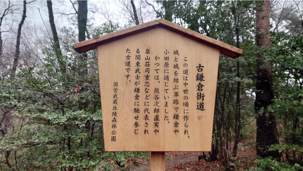 f:id:setagoto:20240228124730j:image