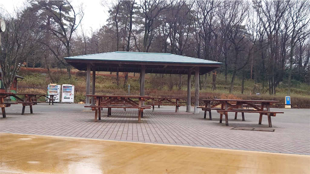 f:id:setagoto:20240228124748j:image