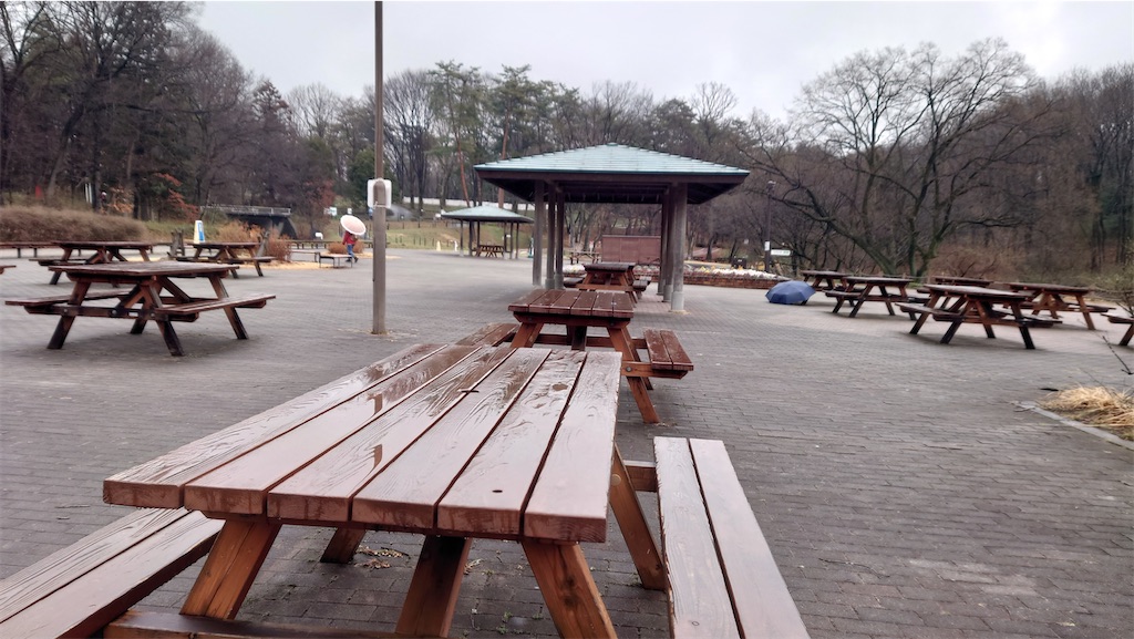 f:id:setagoto:20240228125009j:image