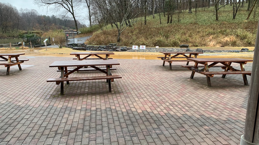 f:id:setagoto:20240229081247j:image