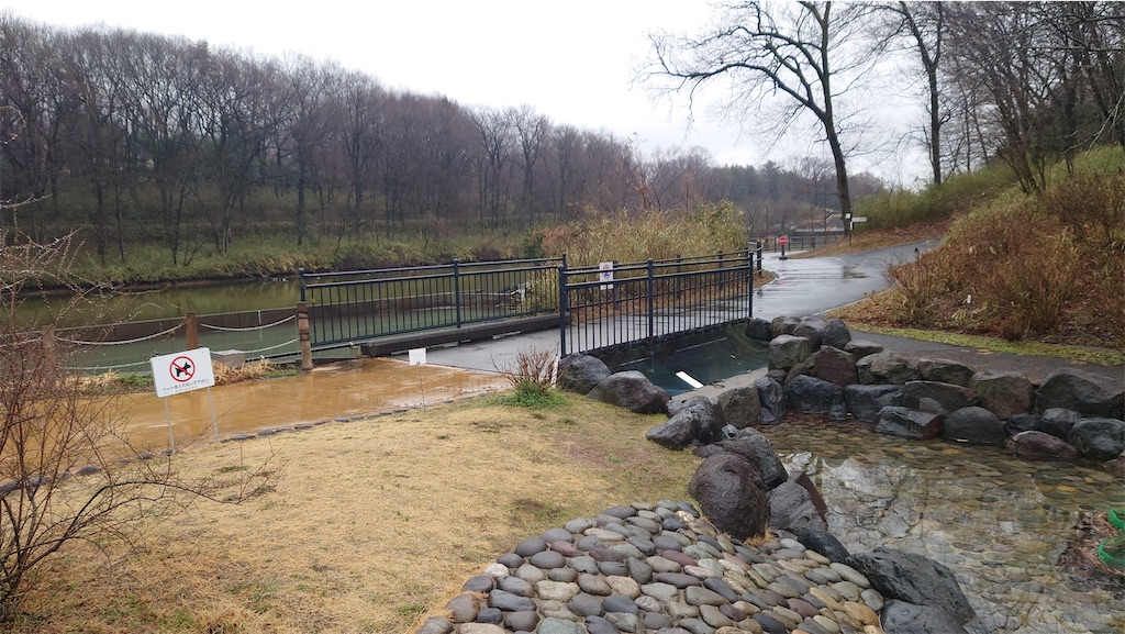 f:id:setagoto:20240229081503j:image