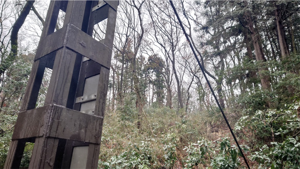 f:id:setagoto:20240229082207j:image