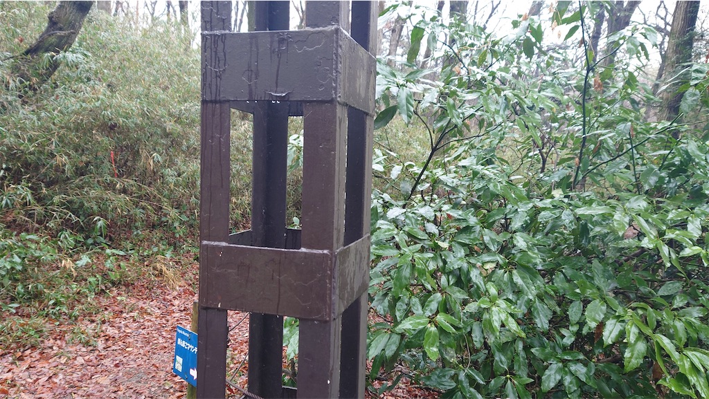 f:id:setagoto:20240229082432j:image