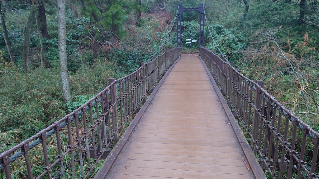 f:id:setagoto:20240229082633j:image