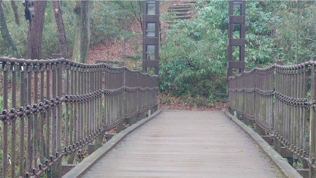 f:id:setagoto:20240229082951j:image